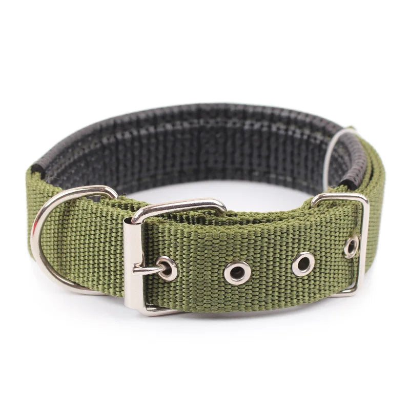 Collar Ajustable para Perros
