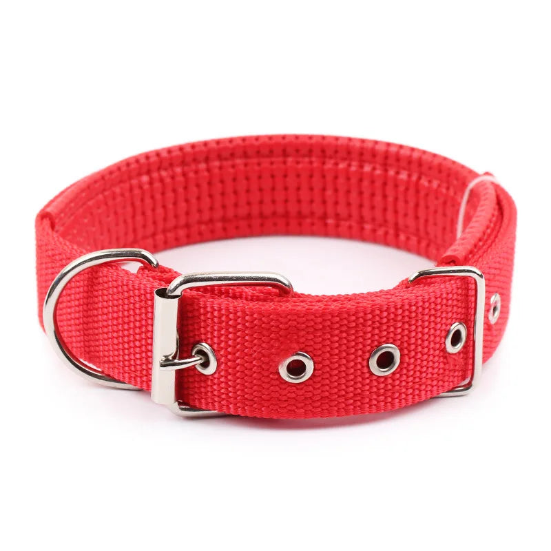 Collar Ajustable para Perros