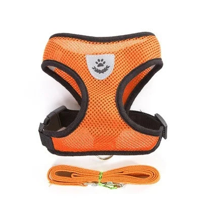 Arnés Ajustable con Correa para Perros y Gatos | Transpirable y Reflectante