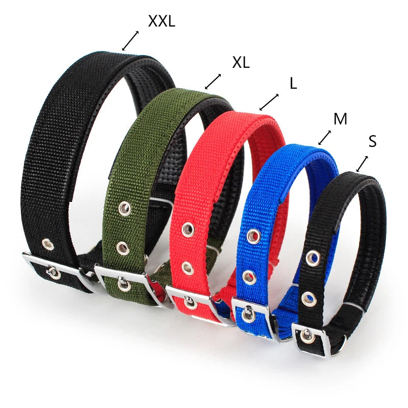 Collar Ajustable para Perros